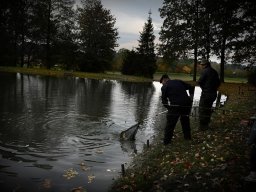 Zavírání Bartoňky